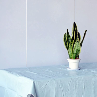 Classic Vinyl Tablecloth